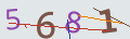 verifycode